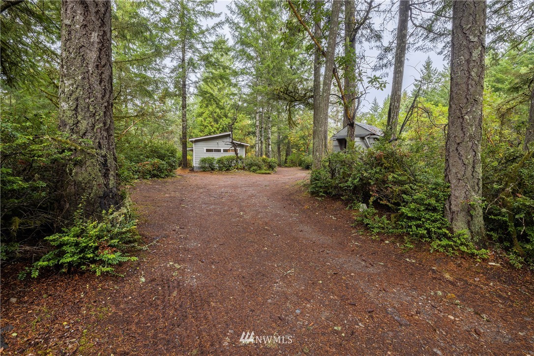 26 Webb Road Southwest Lakebay, WA 98349 - Photo 5 of 31 a view of a forest with trees in the background