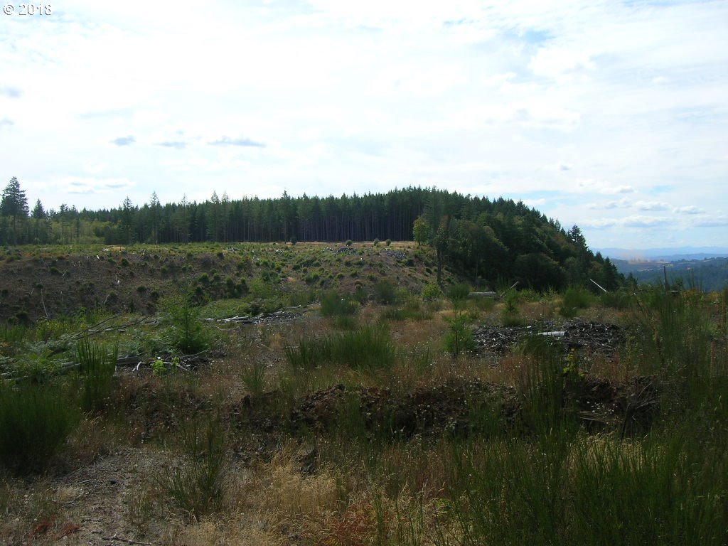 South McCully Mountain Road Scio, OR 97374 - Photo 1 of 14 Gallery Image 1