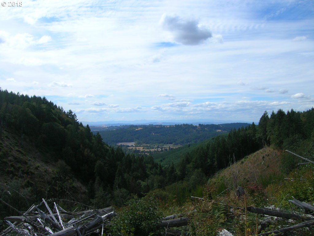 South McCully Mountain Road Scio, OR 97374 - Photo 3 of 14 Gallery Image 3