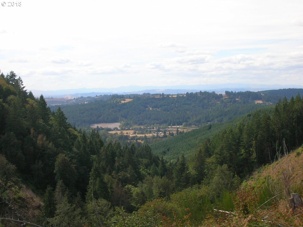 South McCully Mountain Road Scio, OR 97374 - Photo 4 of 14 Gallery Image 4