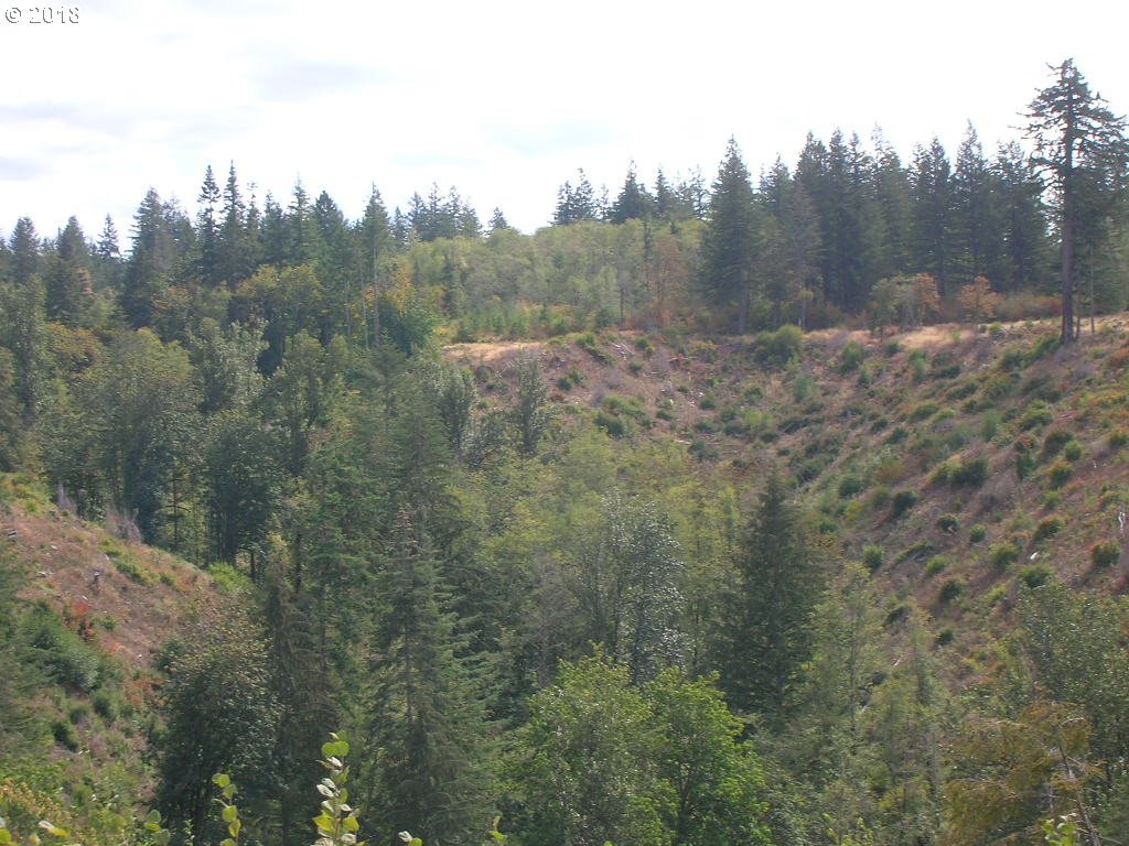 South McCully Mountain Road Scio, OR 97374 - Photo 6 of 14 Gallery Image 6