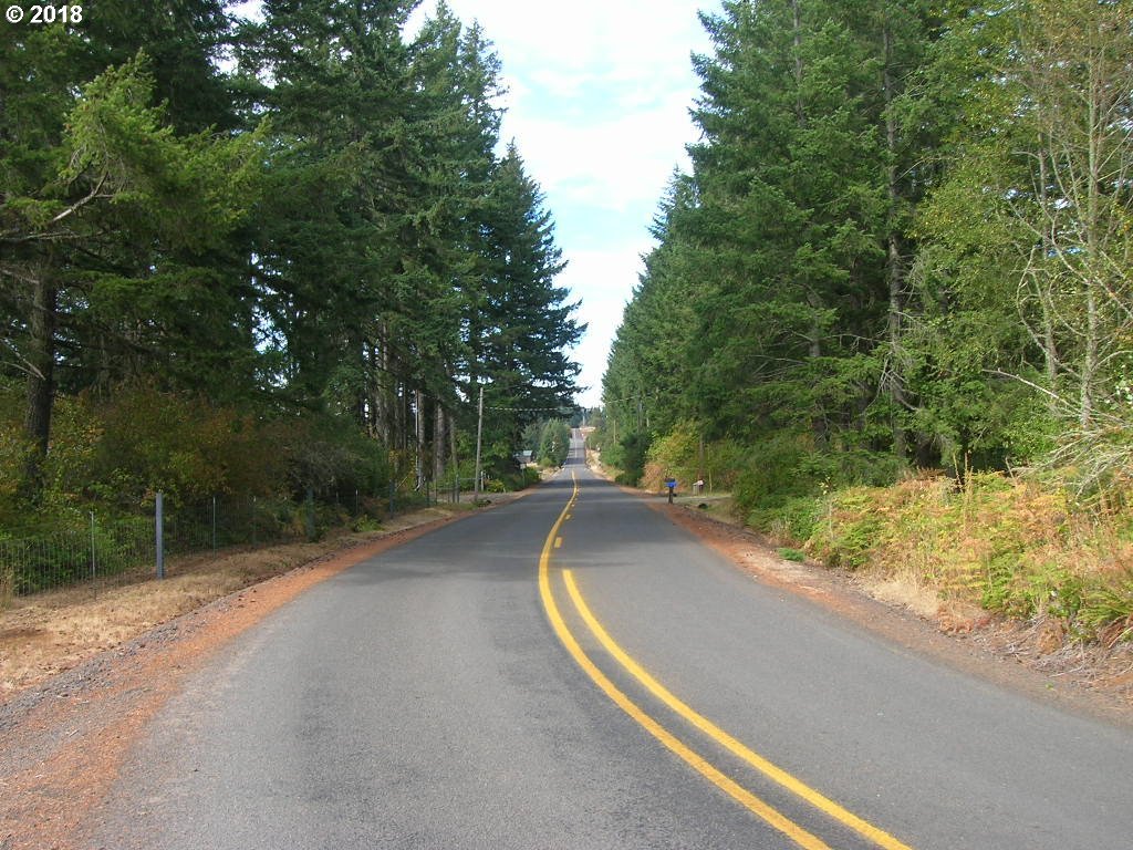 South McCully Mountain Road Scio, OR 97374 - Photo 8 of 14 Gallery Image 8