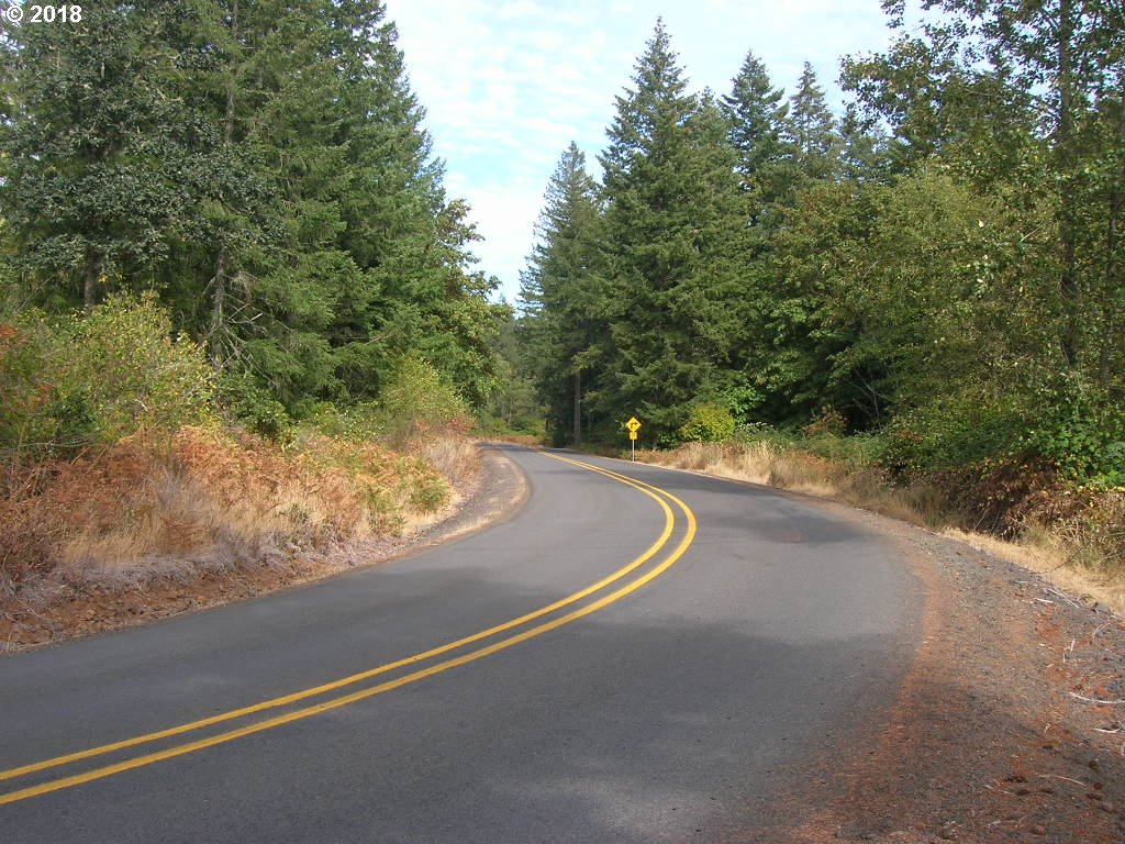 South McCully Mountain Road Scio, OR 97374 - Photo 9 of 14 Gallery Image 9