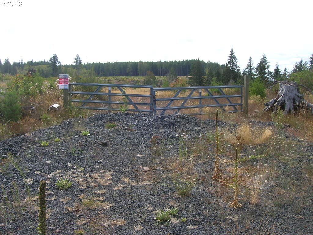 South McCully Mountain Road Scio, OR 97374 - Photo 10 of 14 Gallery Image 10