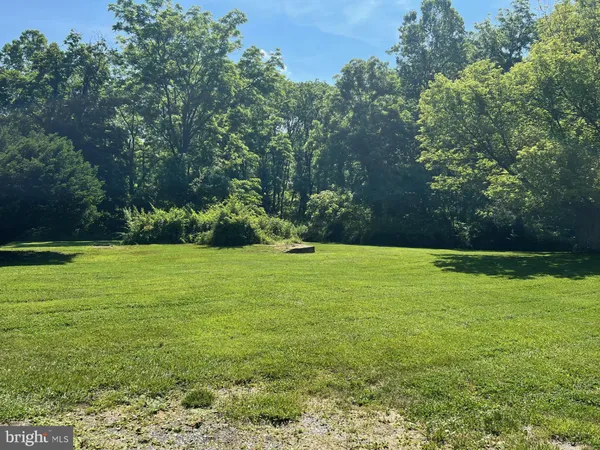 a view of a garden and basketball court