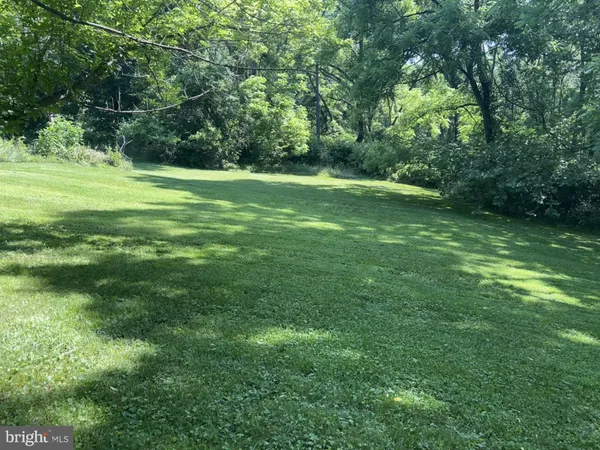 a view of a grassy field with trees in the background