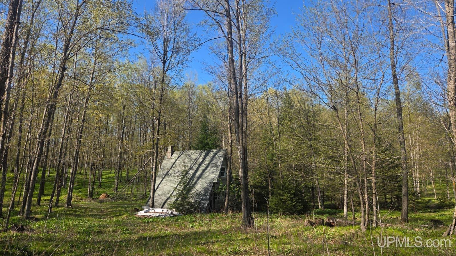 Tbd County Line Road Hermansville, MI 49847 - Photo 14 of 20