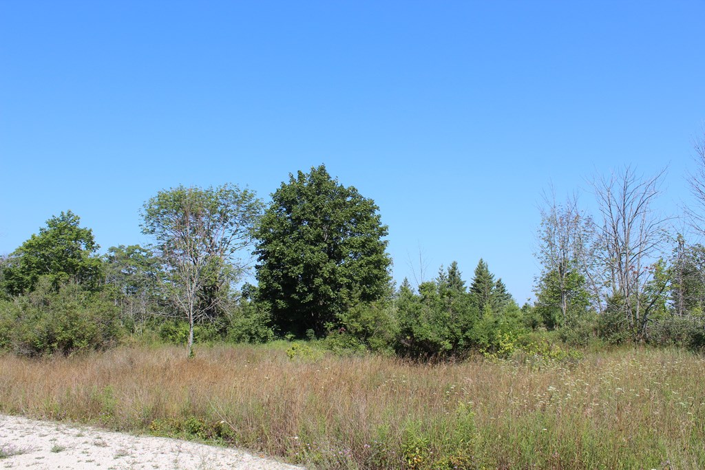 Lot A2 Humbug Road Ellison Bay, WI 54210 - Photo 7 of 10