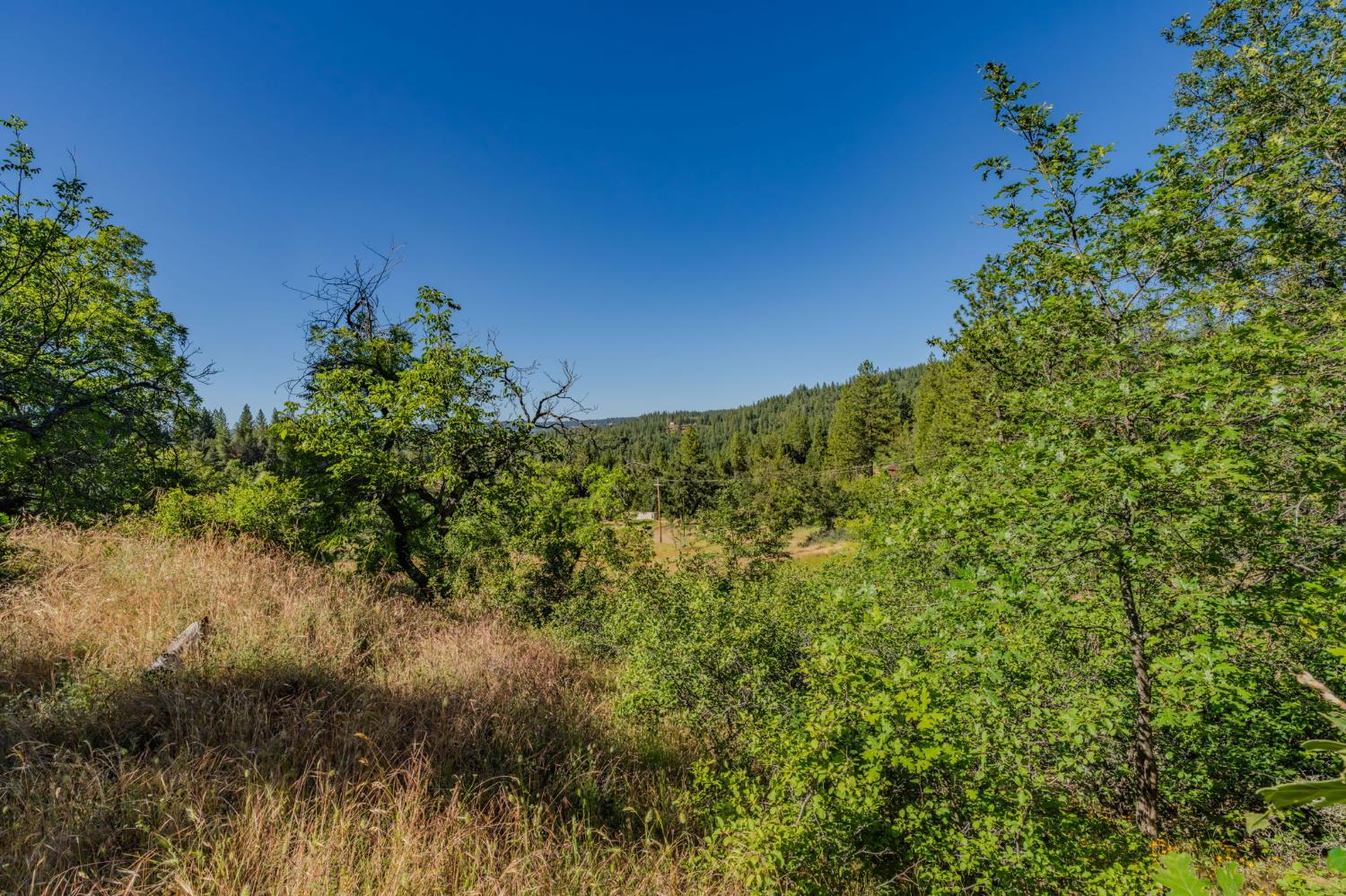 0 Schaefer Ranch Road Pioneer, CA 95666 - Photo 64 of 72