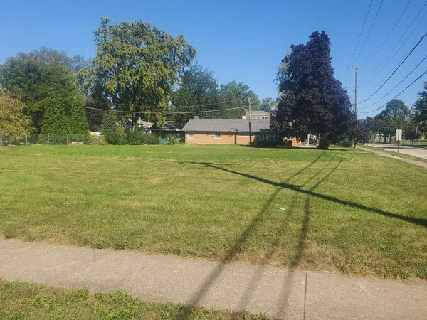 a yard with trees in the background