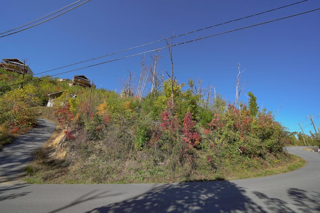 0 Cliff Branch Road Gatlinburg, TN 37738 - Photo 1 of 12 Gallery Image 1