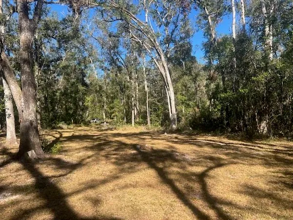 a view of a yard with a tree