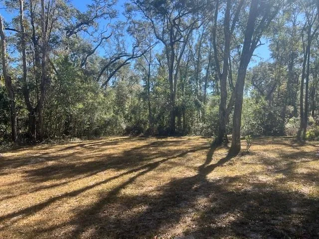 a view of a yard with a tree