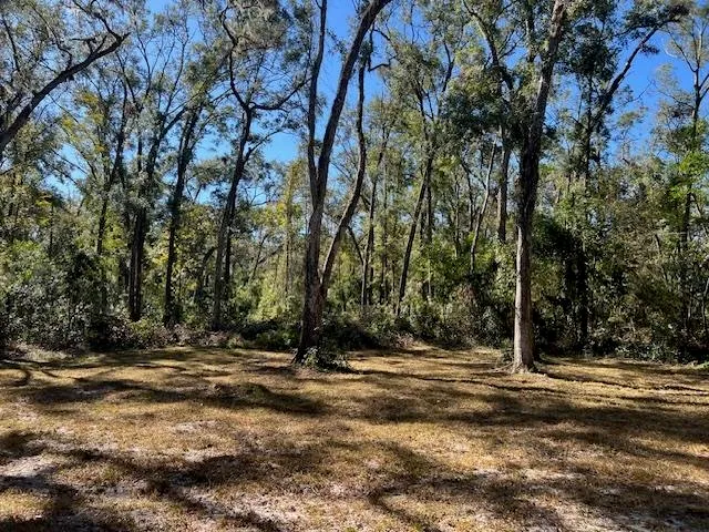 a view of outdoor space with trees