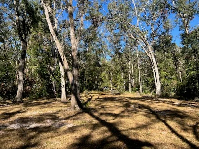a view of outdoor space with trees