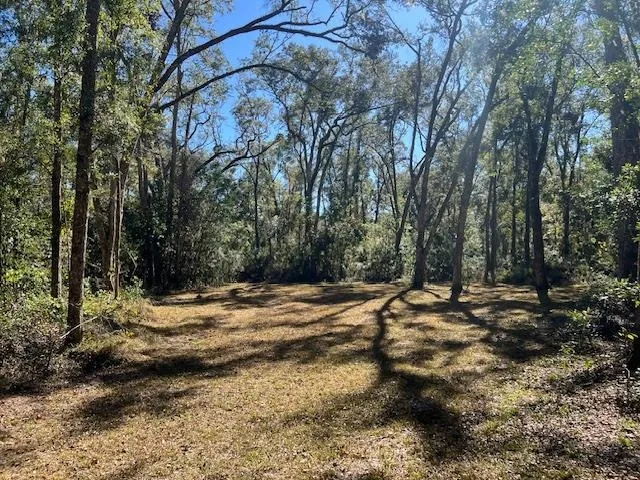 a view of a yard with a tree