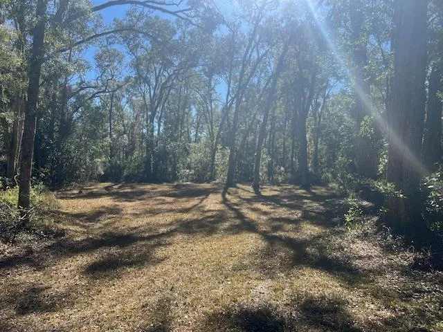 a view of a yard with trees