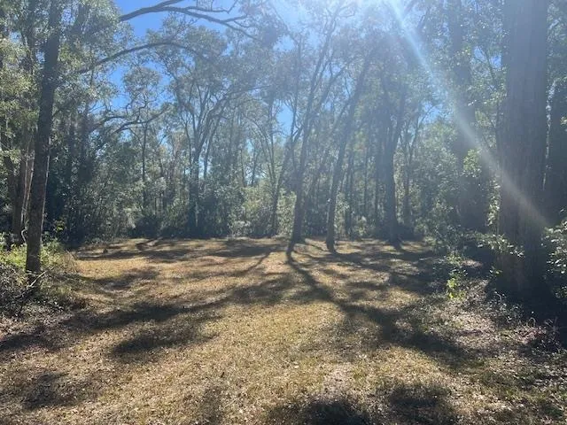 a view of a yard with trees in the background