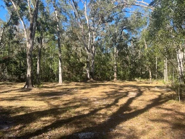 a view of a yard with a trees