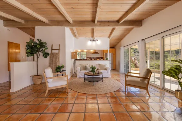 a living room with patio furniture and a potted plant