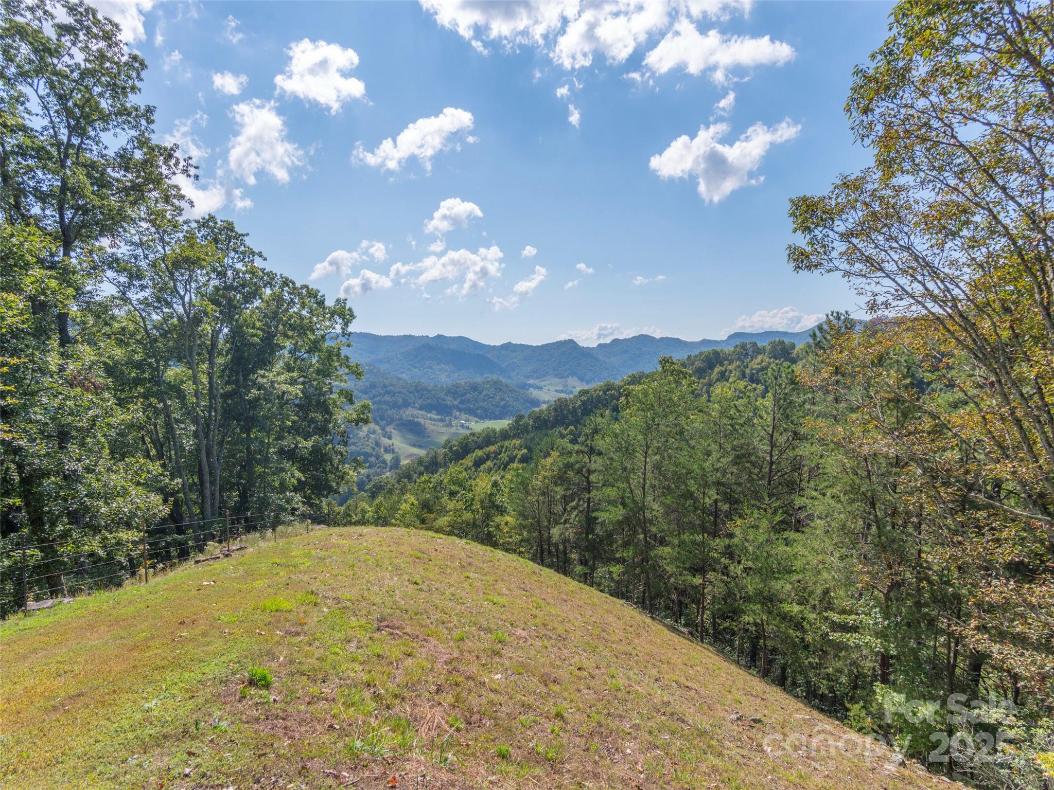 0 Clark Road Clyde, NC 28721 - Photo 11 of 17