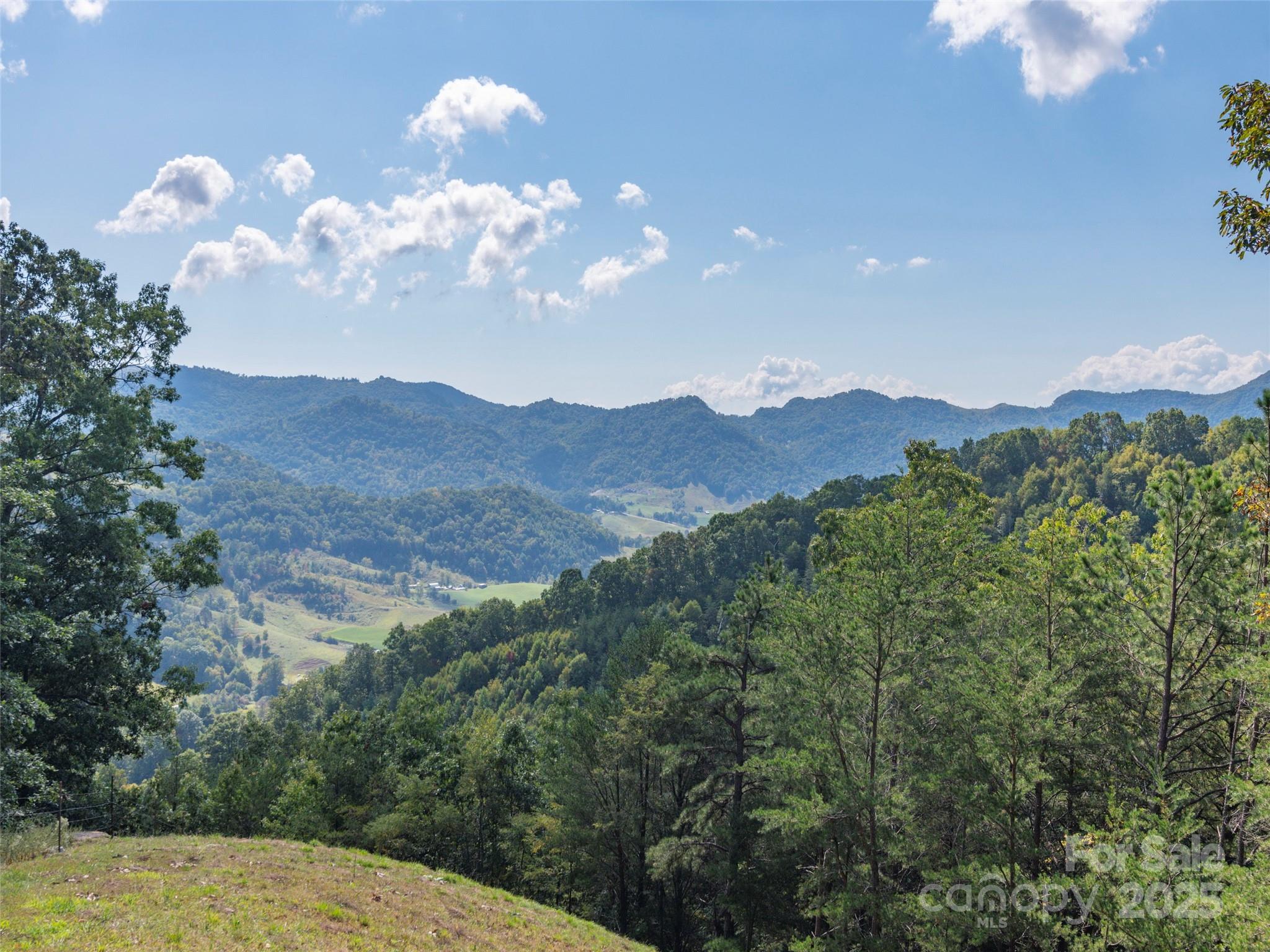 0 Clark Road Clyde, NC 28721 - Photo 12 of 17