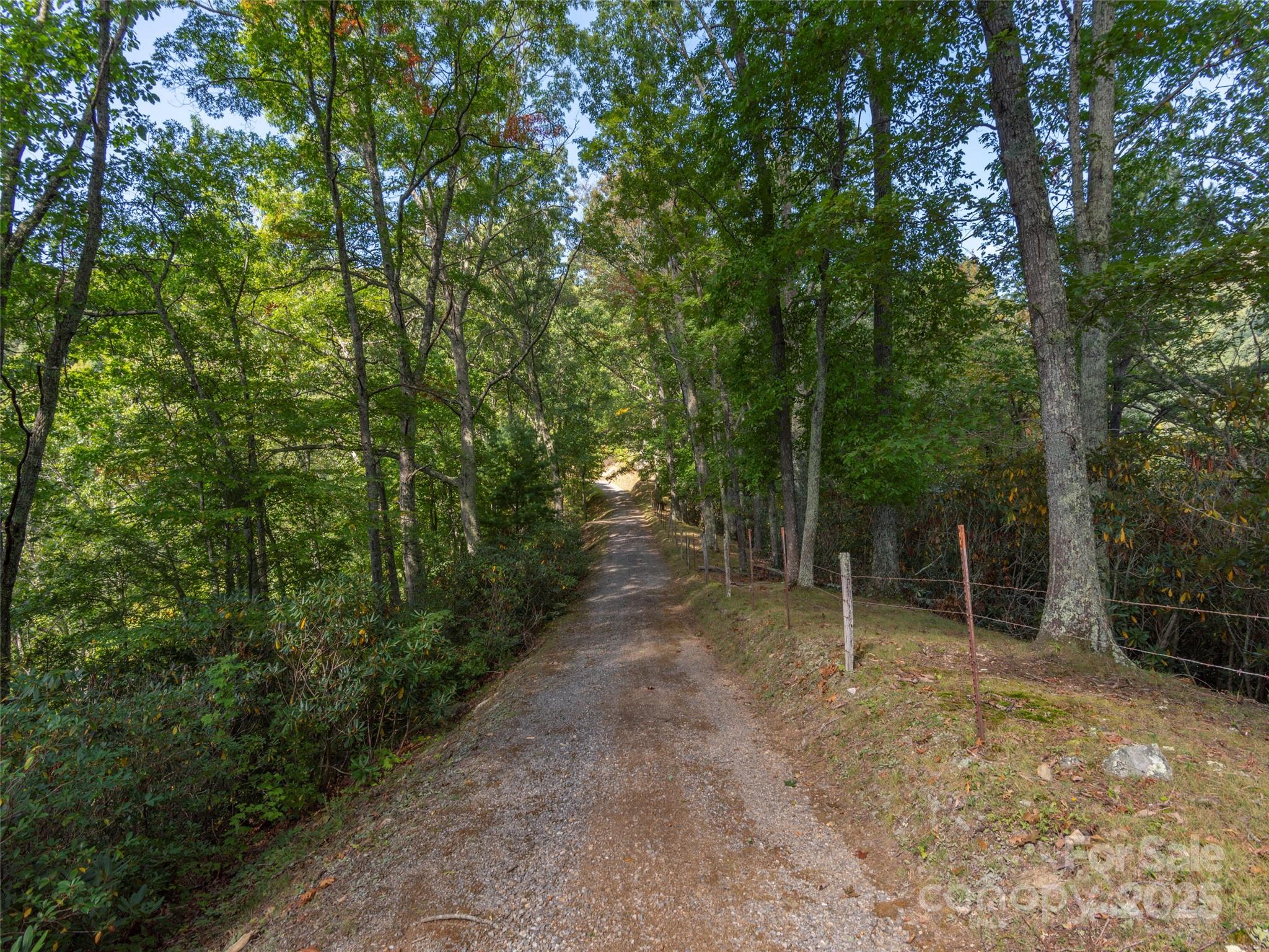 0 Clark Road Clyde, NC 28721 - Photo 13 of 17