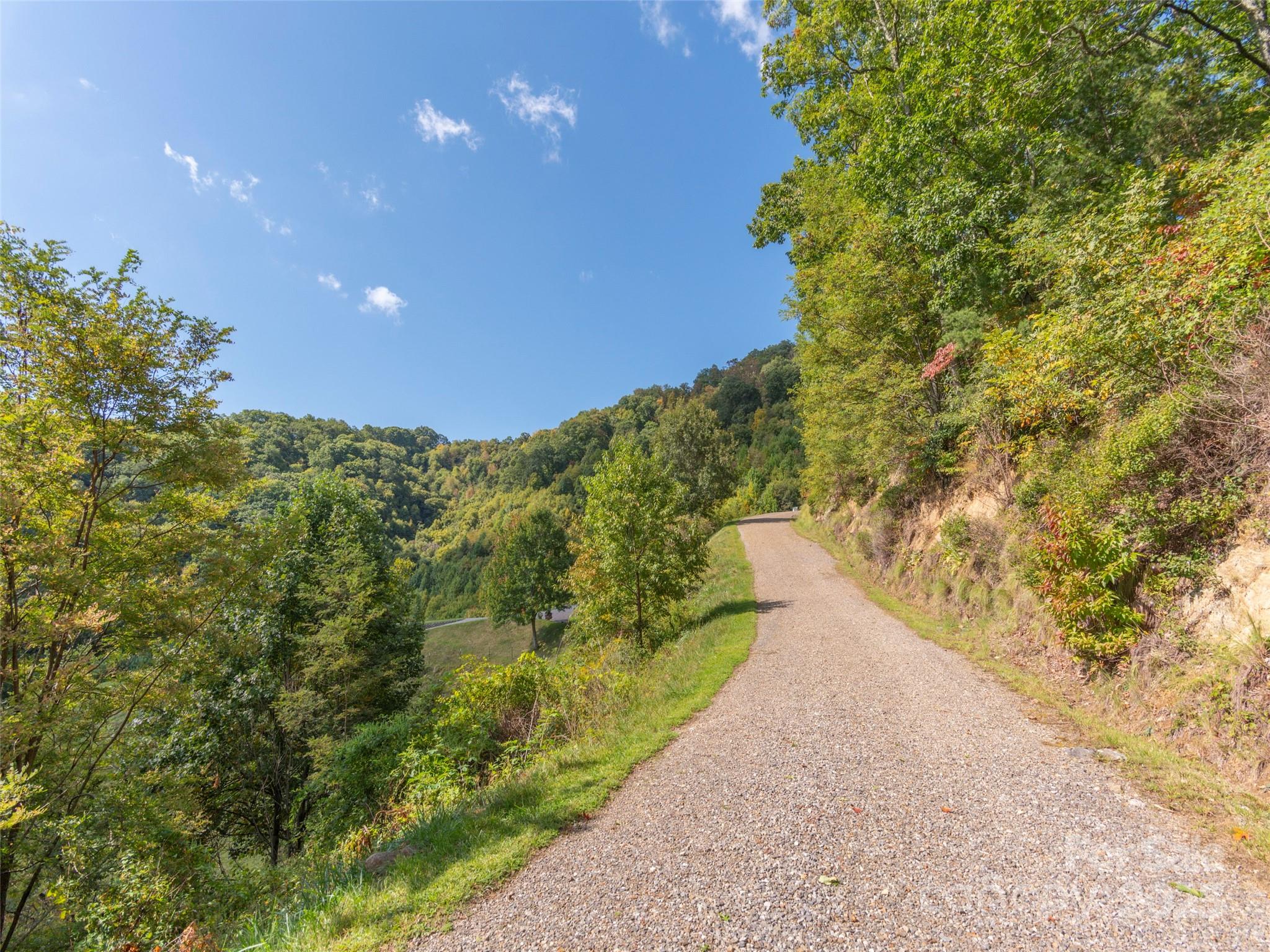 0 Clark Road Clyde, NC 28721 - Photo 14 of 17