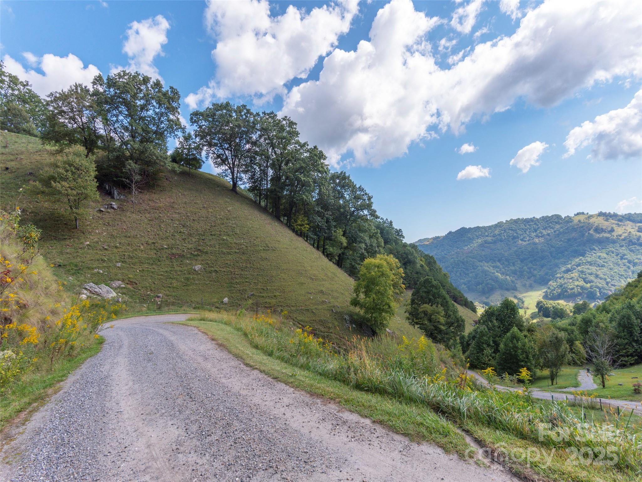 0 Clark Road Clyde, NC 28721 - Photo 15 of 17