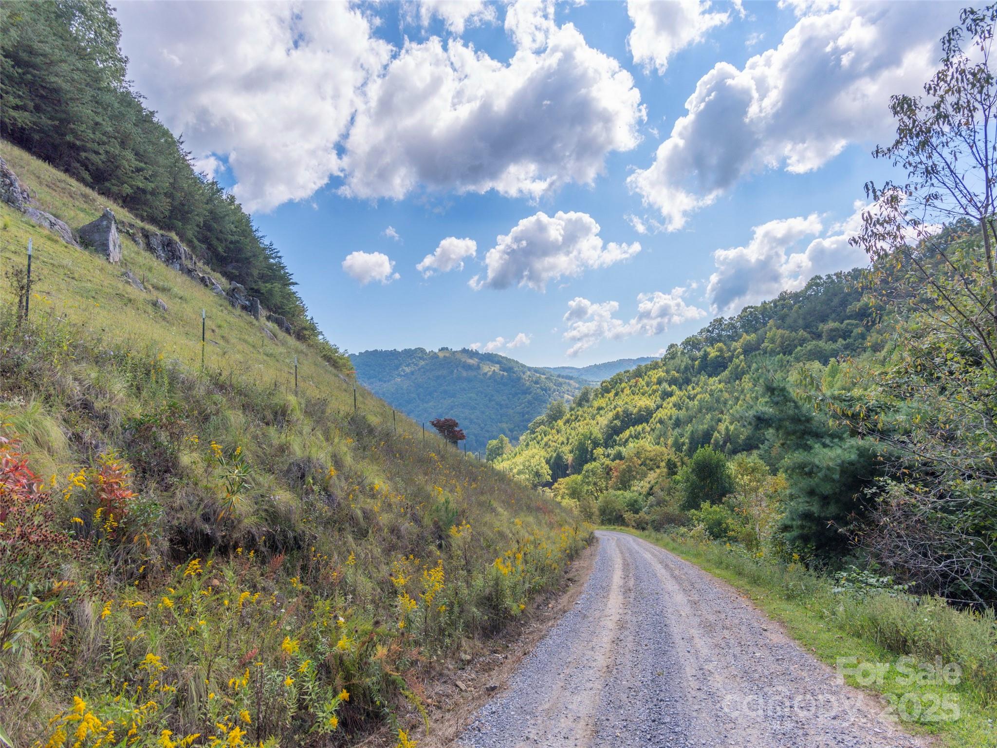 0 Clark Road Clyde, NC 28721 - Photo 16 of 17