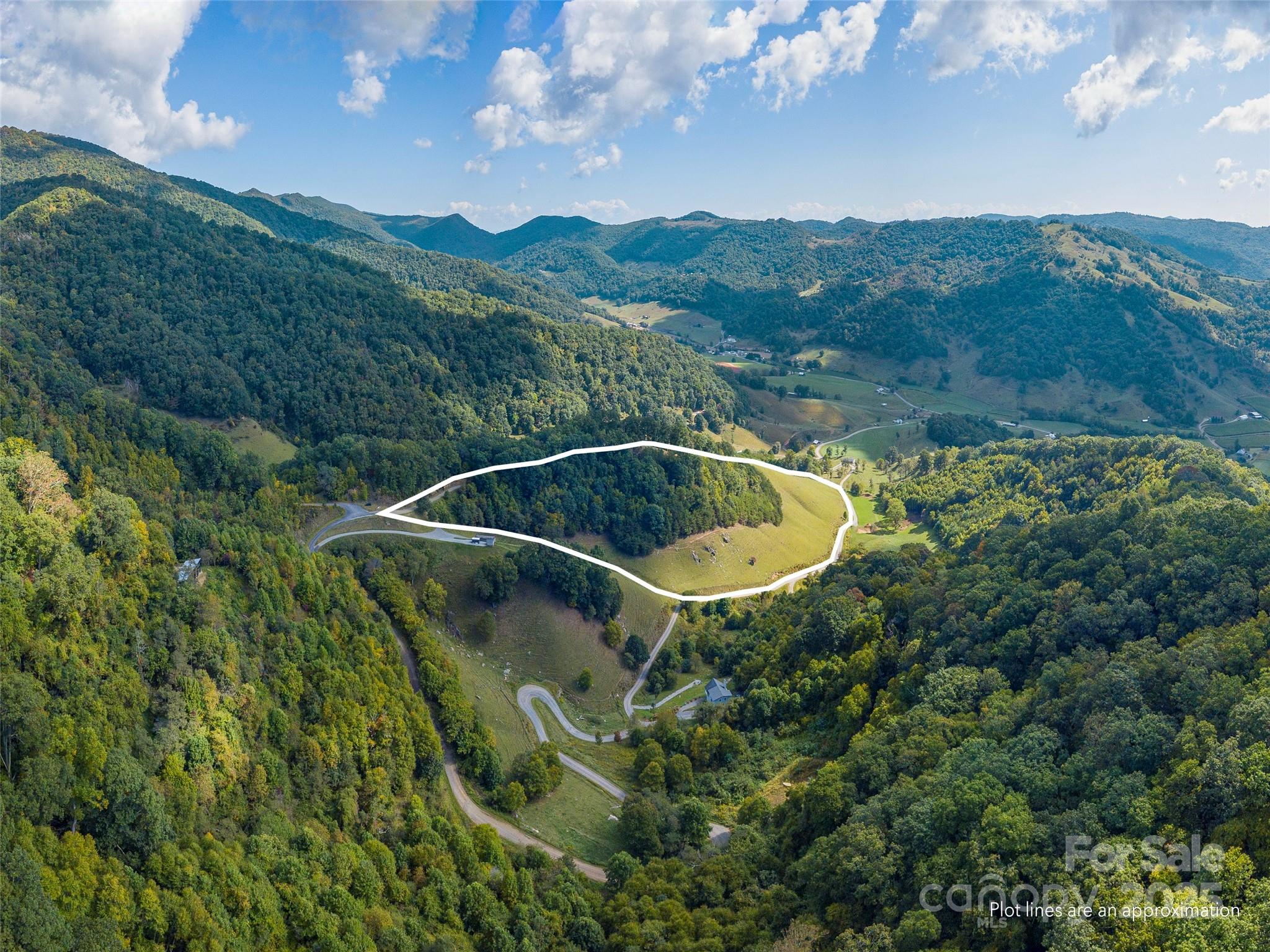 0 Clark Road Clyde, NC 28721 - Photo 2 of 17