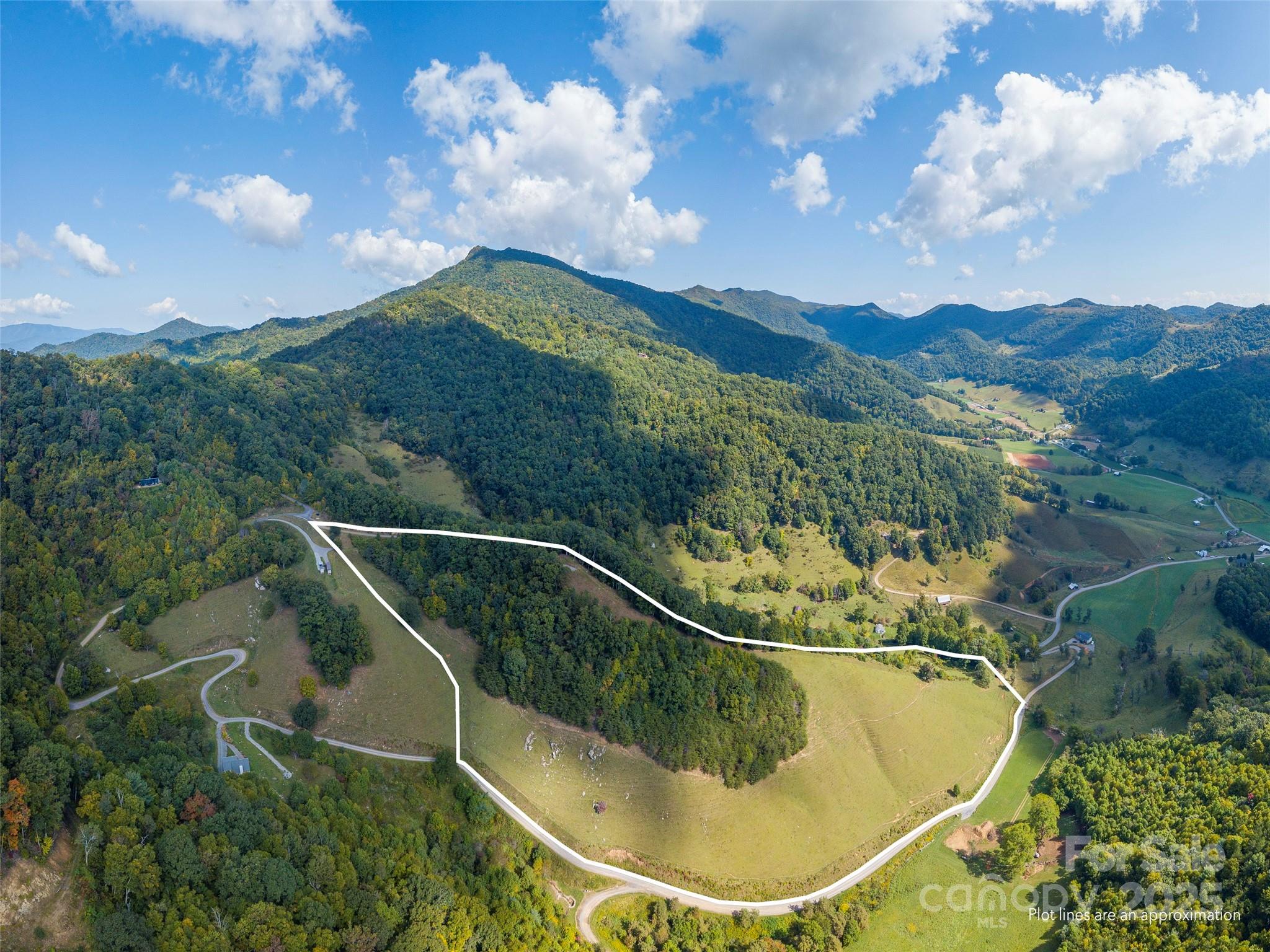 0 Clark Road Clyde, NC 28721 - Photo 3 of 17