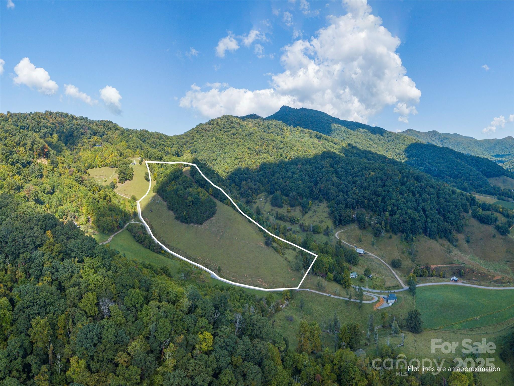 0 Clark Road Clyde, NC 28721 - Photo 4 of 17