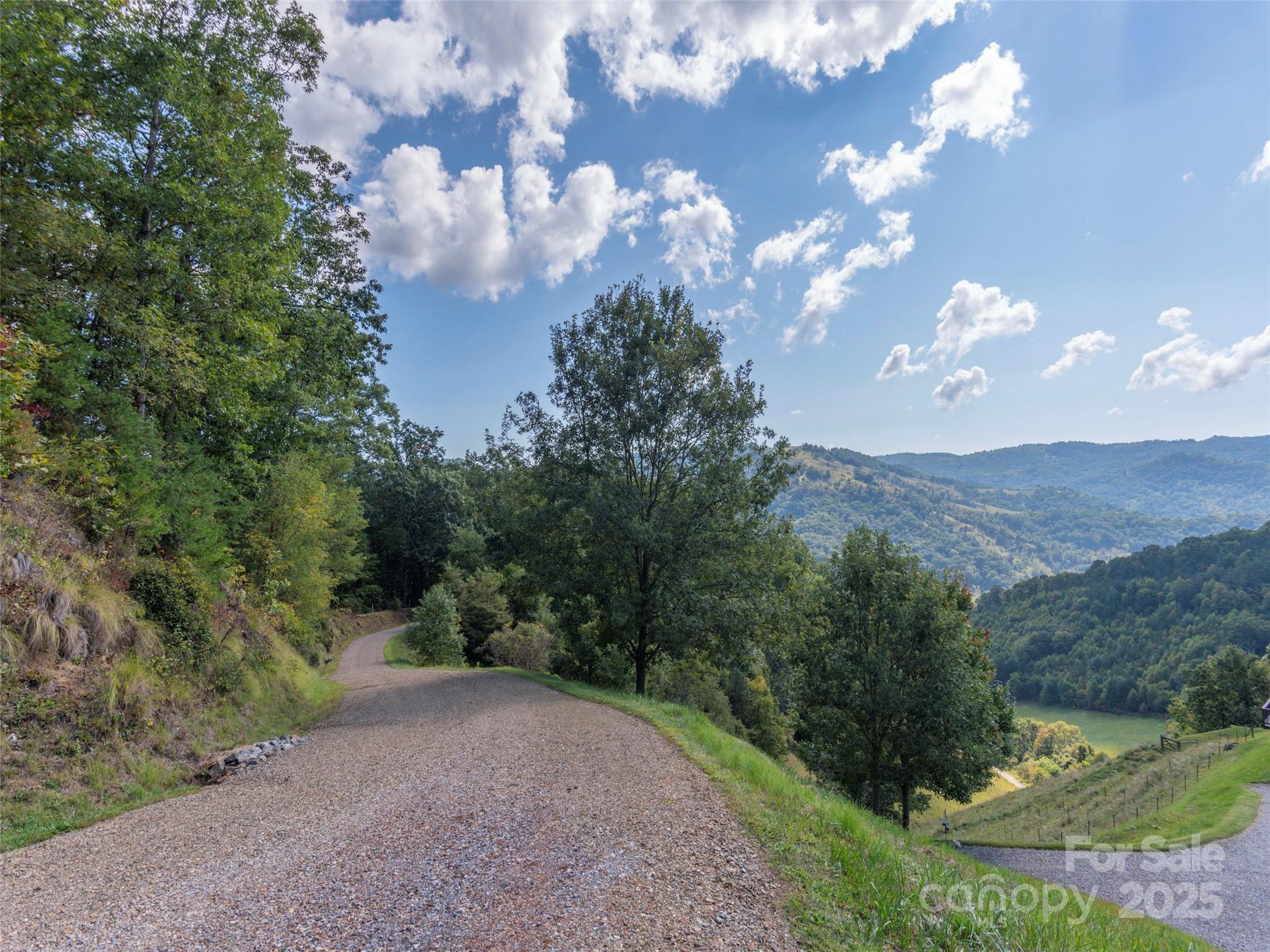 0 Clark Road Clyde, NC 28721 - Photo 6 of 17