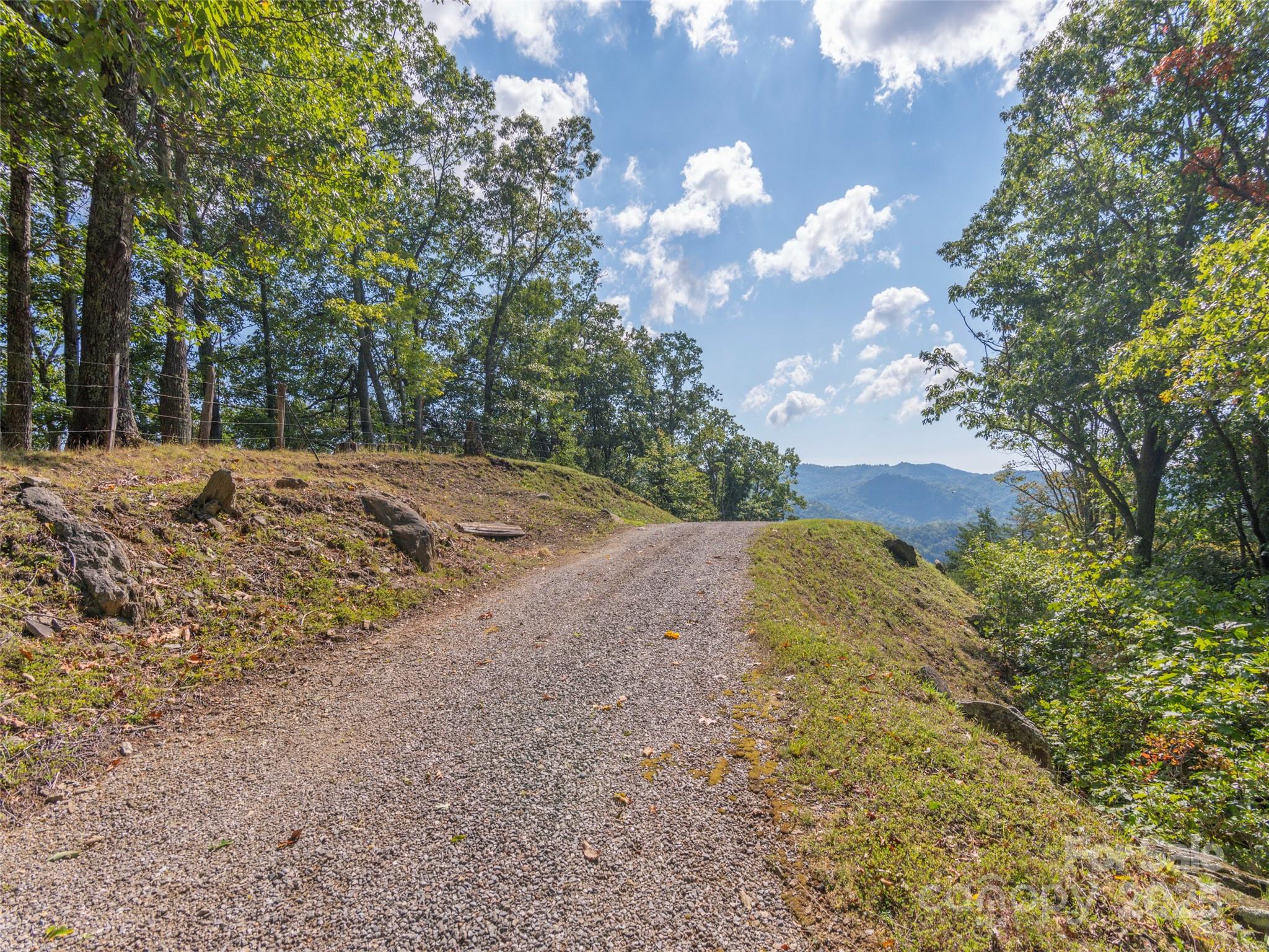 0 Clark Road Clyde, NC 28721 - Photo 9 of 17