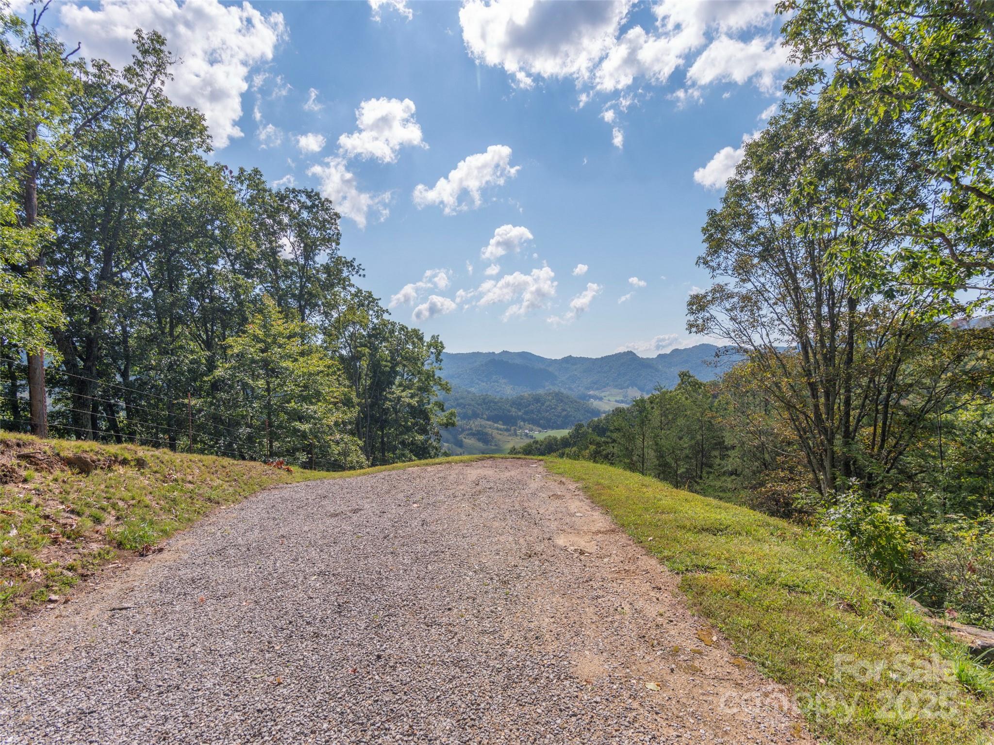 0 Clark Road Clyde, NC 28721 - Photo 10 of 17
