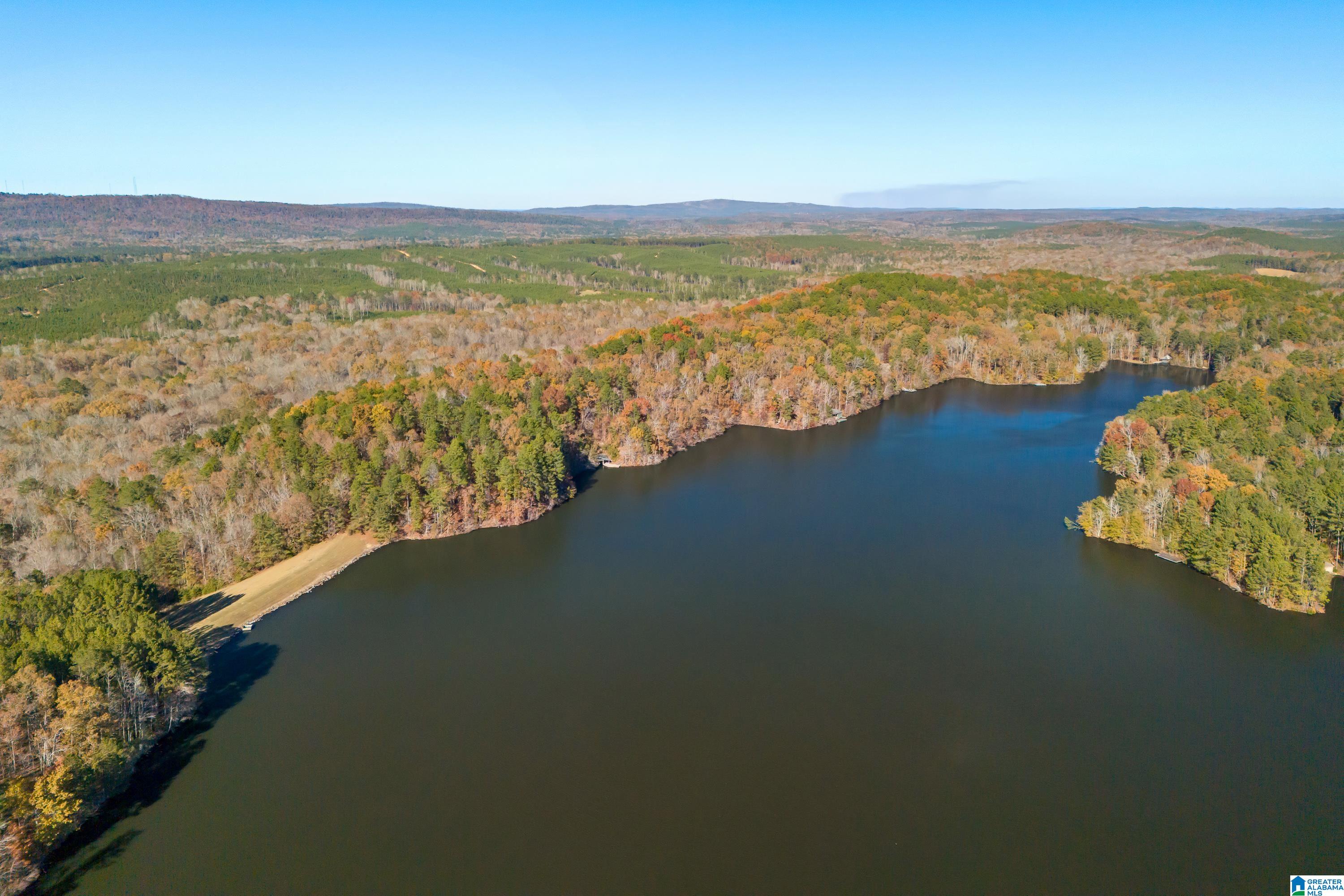 0 Pumpkin Hollow Road Sterrett, AL 35147 - Photo 2 of 55