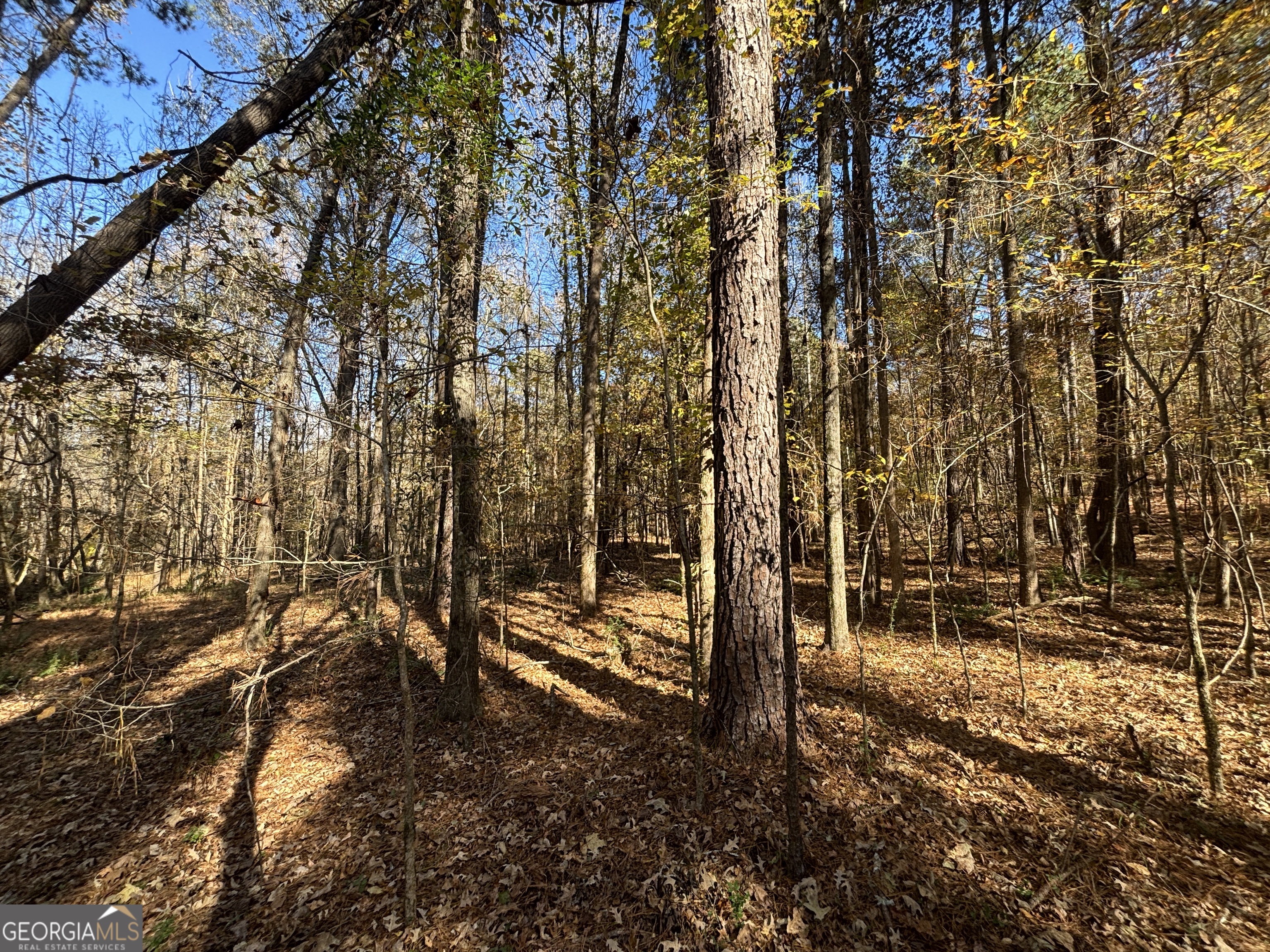 0 Oconee Road Buckhead, GA 30625 - Photo 9 of 14