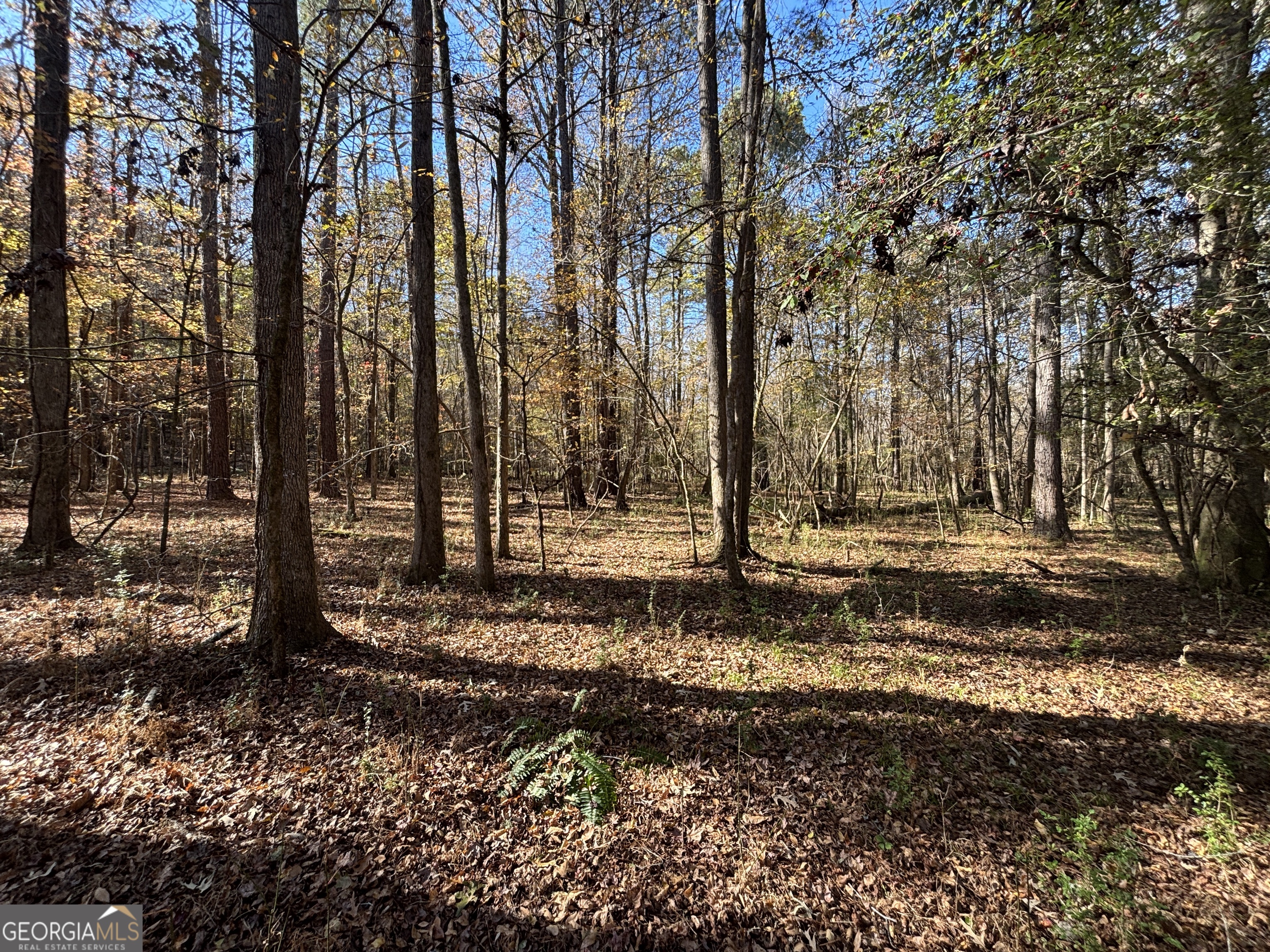 0 Oconee Road Buckhead, GA 30625 - Photo 10 of 14