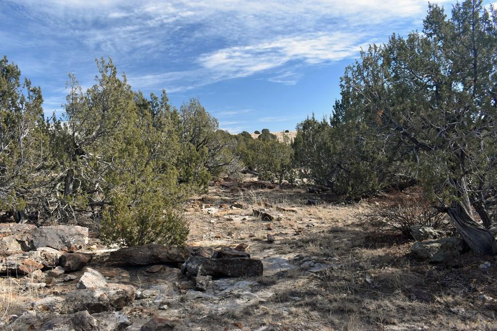 Lot 100 Narrow Gauge Way Rye, CO 81069 - Photo 12 of 42 Gallery Image 12