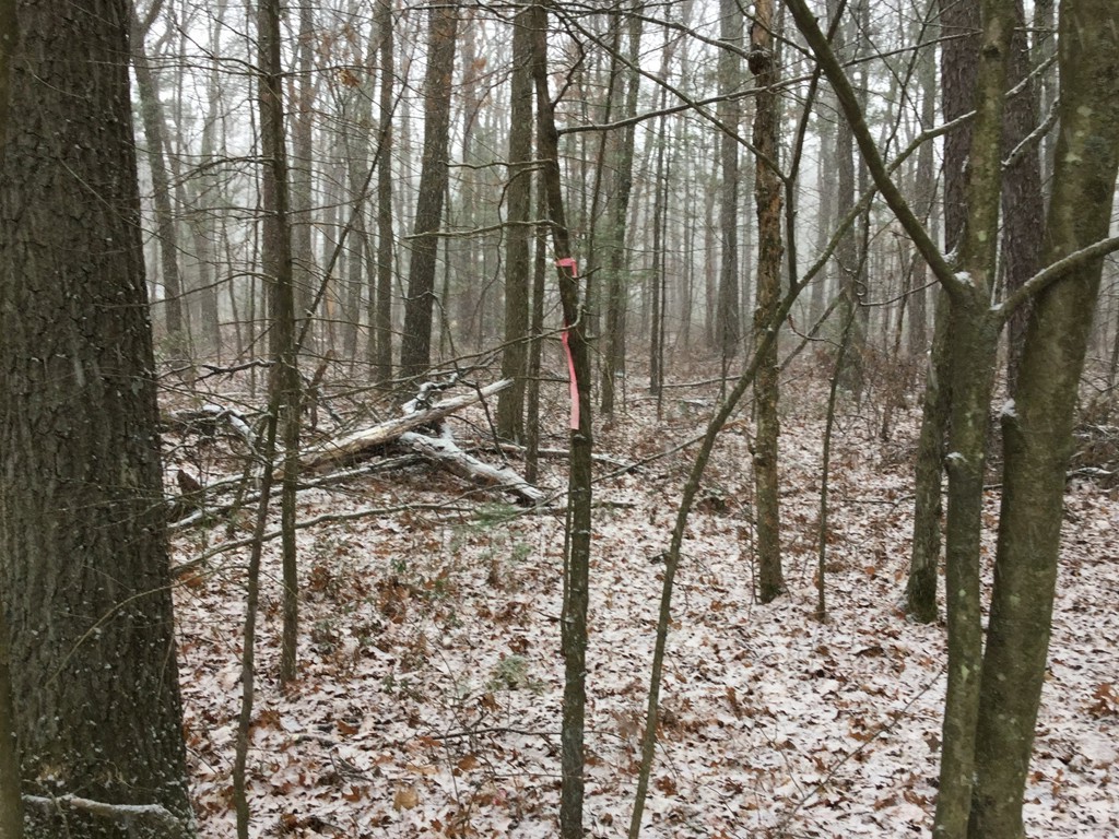 Lot 2 Egypt Road South Deerfield, MA 01373 - Photo 1 of 5 Gallery Image 1