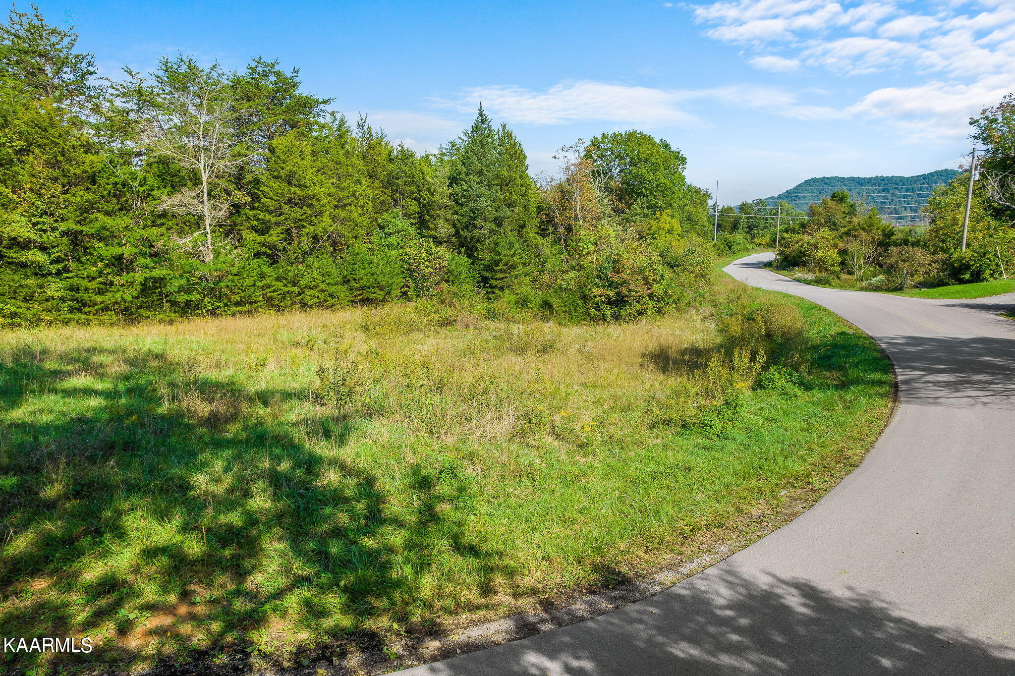 291 Miller Road Bean Station, TN 37708 - Photo 1 of 9 5