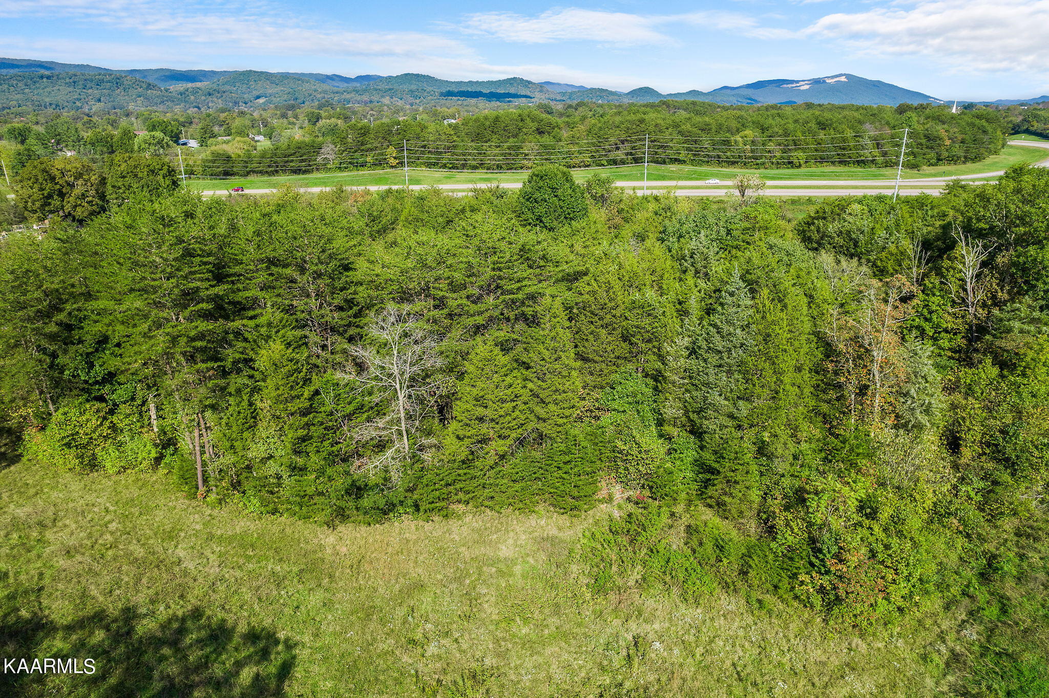 291 Miller Road Bean Station, TN 37708 - Photo 4 of 9 8