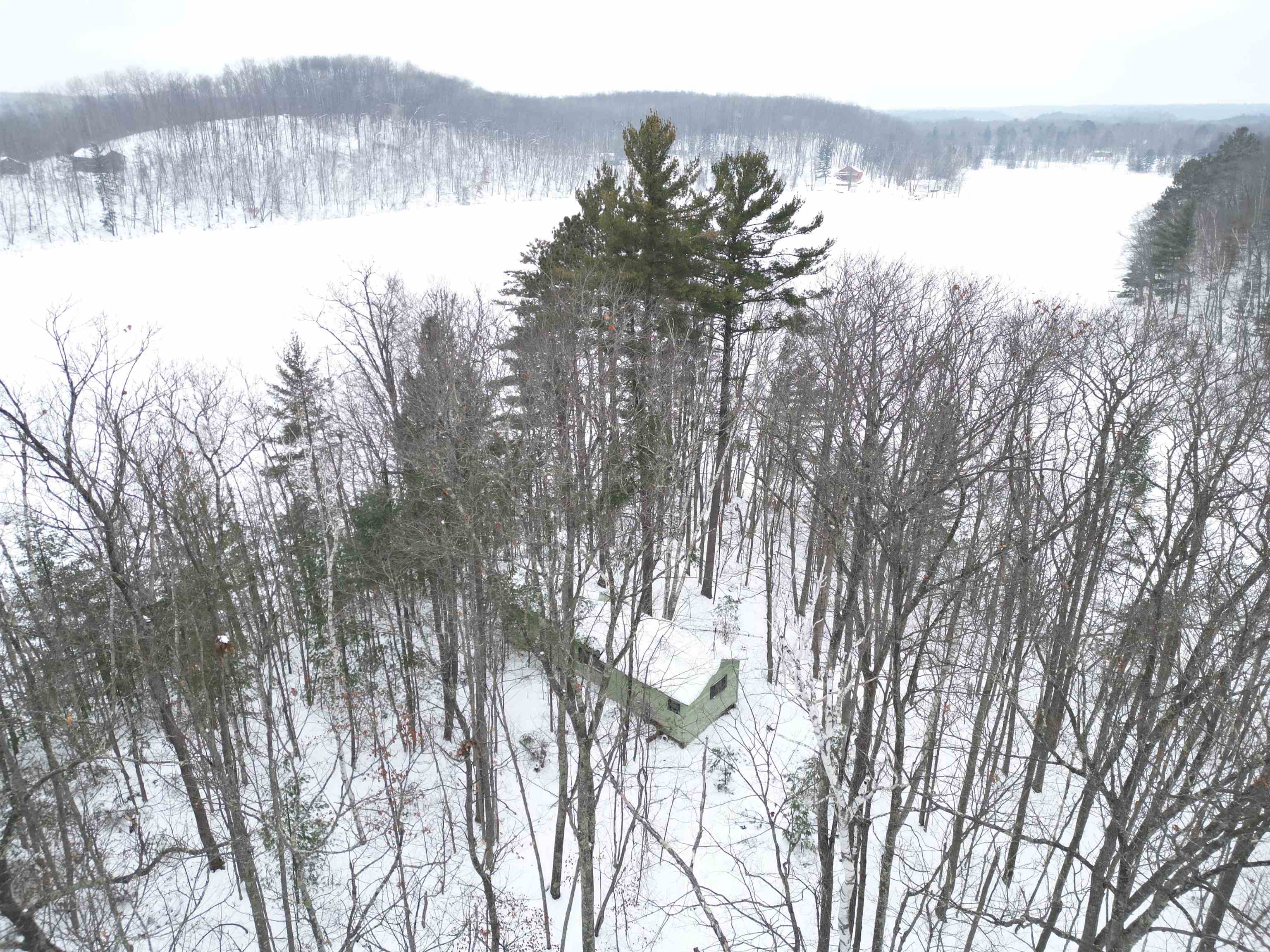 Snowy aerial view featuring a forest view