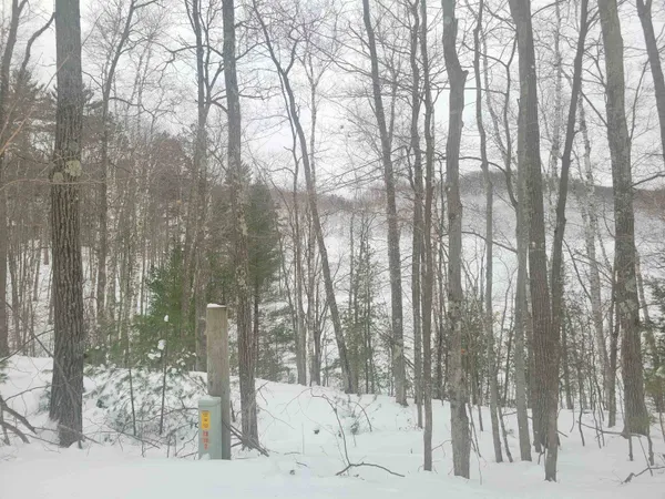 $140,000 | 64445 East Bass Lake Road, Iron River, WI 54847