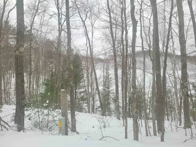 $169,000 | 64445 East Bass Lake Road, Iron River, WI 54847