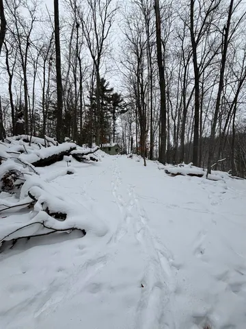 $169,000 | 64445 East Bass Lake Road, Iron River, WI 54847