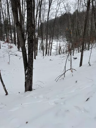 $140,000 | 64445 East Bass Lake Road, Iron River, WI 54847