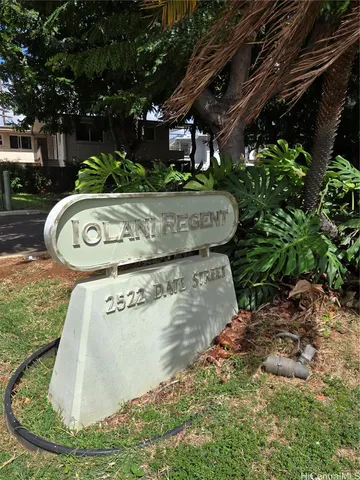 a view of a couches in a backyard