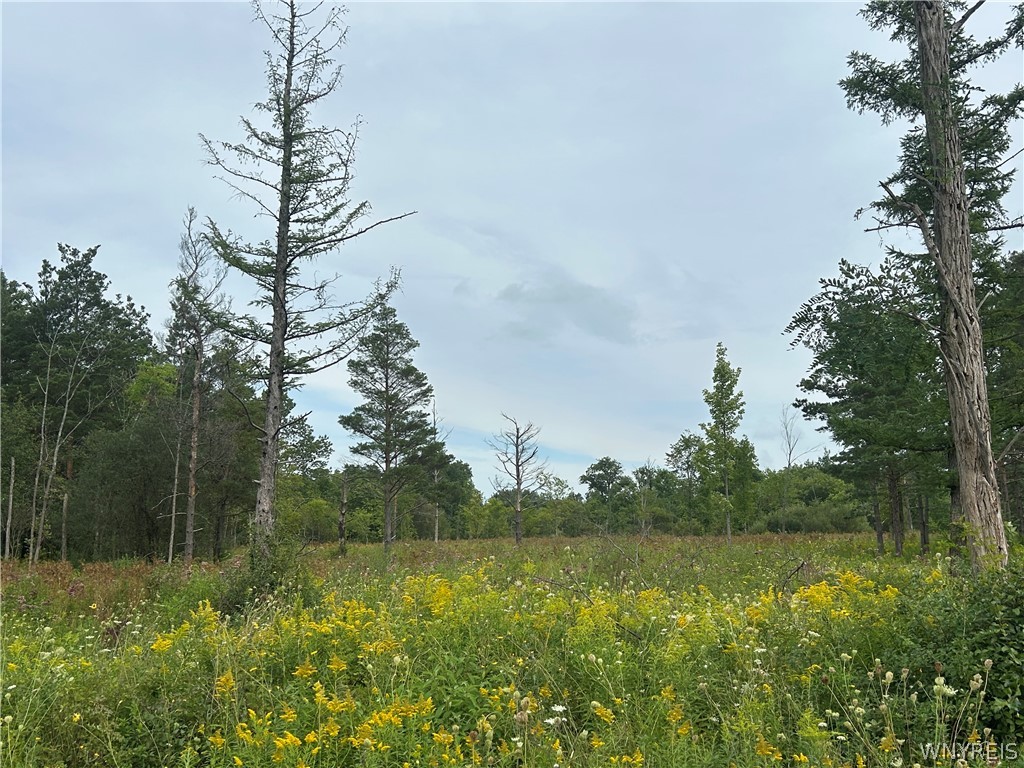 0 Tinkham Road Attica, NY 14011 - Photo 7 of 19 Gallery Image 7